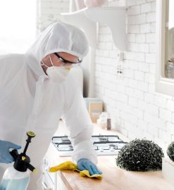 Désinsectisation à Strasbourg : préservez la qualité de vie dans votre habitat