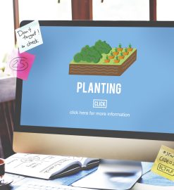 Comment choisir son logiciel pour paysagiste : les critères à comparer ?
